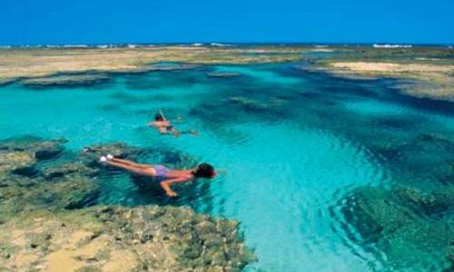 15 Melhores praias do Nordeste - Praia do forte – Bahia