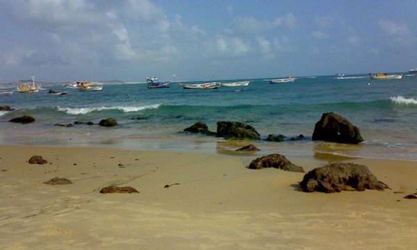 Das 10 melhores praias do Brasil, 4 estão em pernambuco - Baía dos Golfinhos