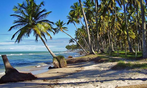 Das 10 melhores praias do Brasil, 4 estão em pernambuco - Ilha de Santo Aleixo