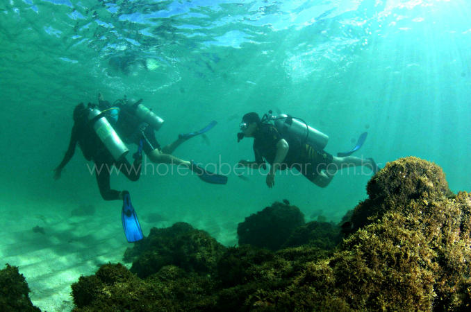 Mergulho de Batismo em Porto de Galinhas pela Aicá Diving 01