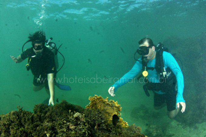 Mergulho de Batismo em Porto de Galinhas pela Aicá Diving 06