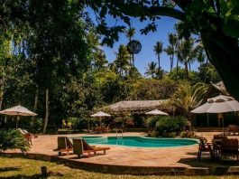 Day Use no Anima Hotel, beach club na praia do Encanto – Morro de São Paulo, BA