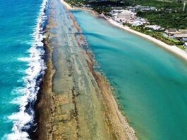 Onde comer em Muro Alto? Confira as 4 Melhores opções de restaurantes e bares de praia.